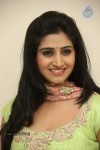 Shamili Gallery - 65 of 68