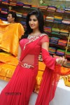 Shamili New Gallery - 28 of 69