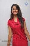 Shanvi Latest Photos - 62 of 85