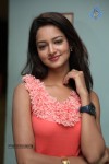 Shanvi New Photos - 66 of 70