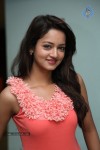 Shanvi New Photos - 51 of 70