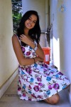 Shanvi New Stills - 86 of 118