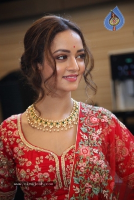 Shanvi Srivastava Stills - 4 of 21