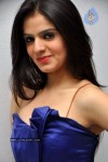 Shefali Sharma Hot Stills - 50 of 80