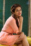 Shraddha Das New Gallery - 50 of 96