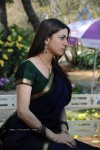 Shradha Arya  Gallery - 55 of 86