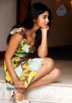 Shreya Gallery - 63 of 45