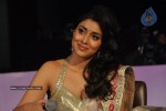 Shreya New Stills - 52 of 62