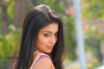 Shriya Hot Gallery - 48 of 75