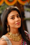 Shriya Hot Gallery - 60 of 75