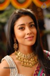 Shriya Hot Gallery - 63 of 75