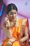 Shriya Latest Photos - 52 of 60