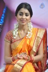 Shriya Latest Photos - 55 of 60