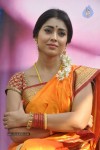 Shriya Latest Photos - 60 of 60