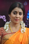 Shriya Latest Photos - 63 of 60