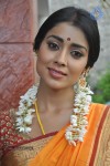 Shriya Latest Photos - 45 of 60