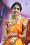 Shriya Latest Photos - 55 of 60