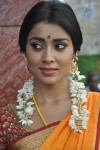 Shriya Latest Photos - 59 of 60