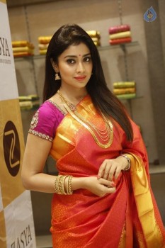 Shriya Latest Photos - 19 of 62