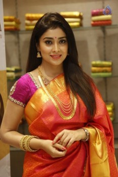 Shriya Latest Photos - 48 of 62