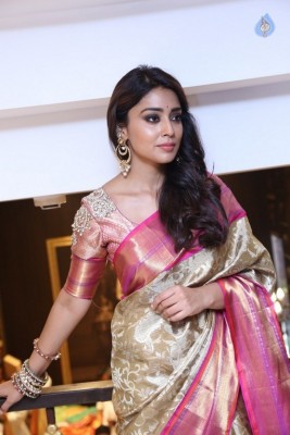 Shriya Latest Pix - 9 of 28