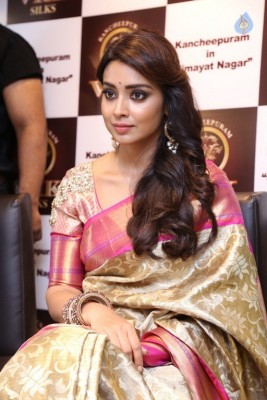 Shriya Latest Pix - 14 of 28