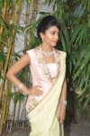 Shriya Latest Stills - 44 of 58