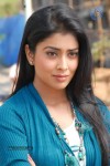  Shriya New Latest Gallery - 2 of 7