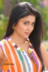  Shriya New Latest Gallery - 4 of 7