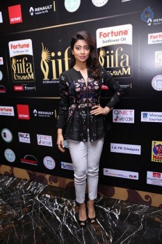 Shriya Saran Images - 20 of 32