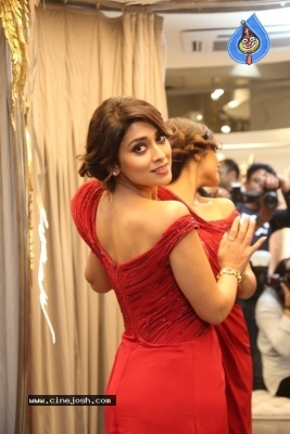 Shriya Saran Photos - 9 of 19