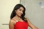 Shruti Jha Hot Stills - 84 of 105