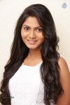 Shruti Reddy Photoshoot Photos - 18 of 22