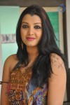 Sidhie Mamre Photos - 67 of 69