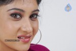 Sindhu Affan Gallery - 43 of 60