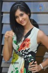 Sindhu Affan Stills - 49 of 103