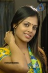 Sindhu Menon Latest Stills - 14 of 29