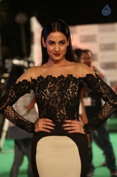 Sonal Chauhan New Gallery - 11 of 30