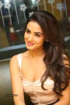 Sonal Chauhan Photos - 44 of 63