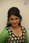 Sonali Hot Stills - 70 of 105