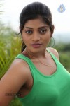 Sowmya Hot Photos - 45 of 44