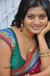 Sowmya New Hot Stills - 43 of 66