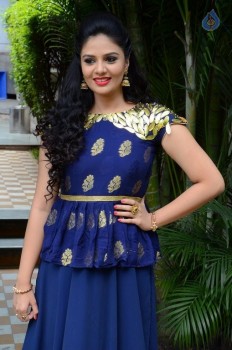 Sreemukhi New Photos - 53 of 61