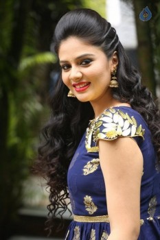 Sreemukhi New Photos - 58 of 61