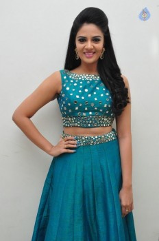 Sreemukhi New Pics - 7 of 42