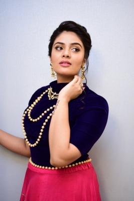 Sreemukhi Photoshoot - 2 of 14