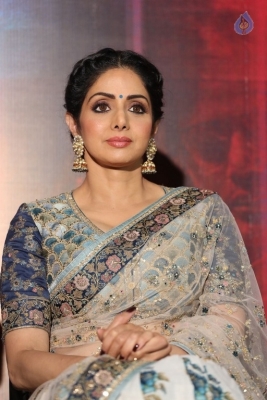 Sridevi Kapoor Photos - 9 of 38