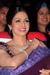 Sridevi New Stills - 56 of 47