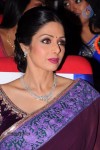 Sridevi New Stills - 44 of 47