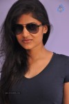 Shwetha Pandit Latest Stills - 5 of 68